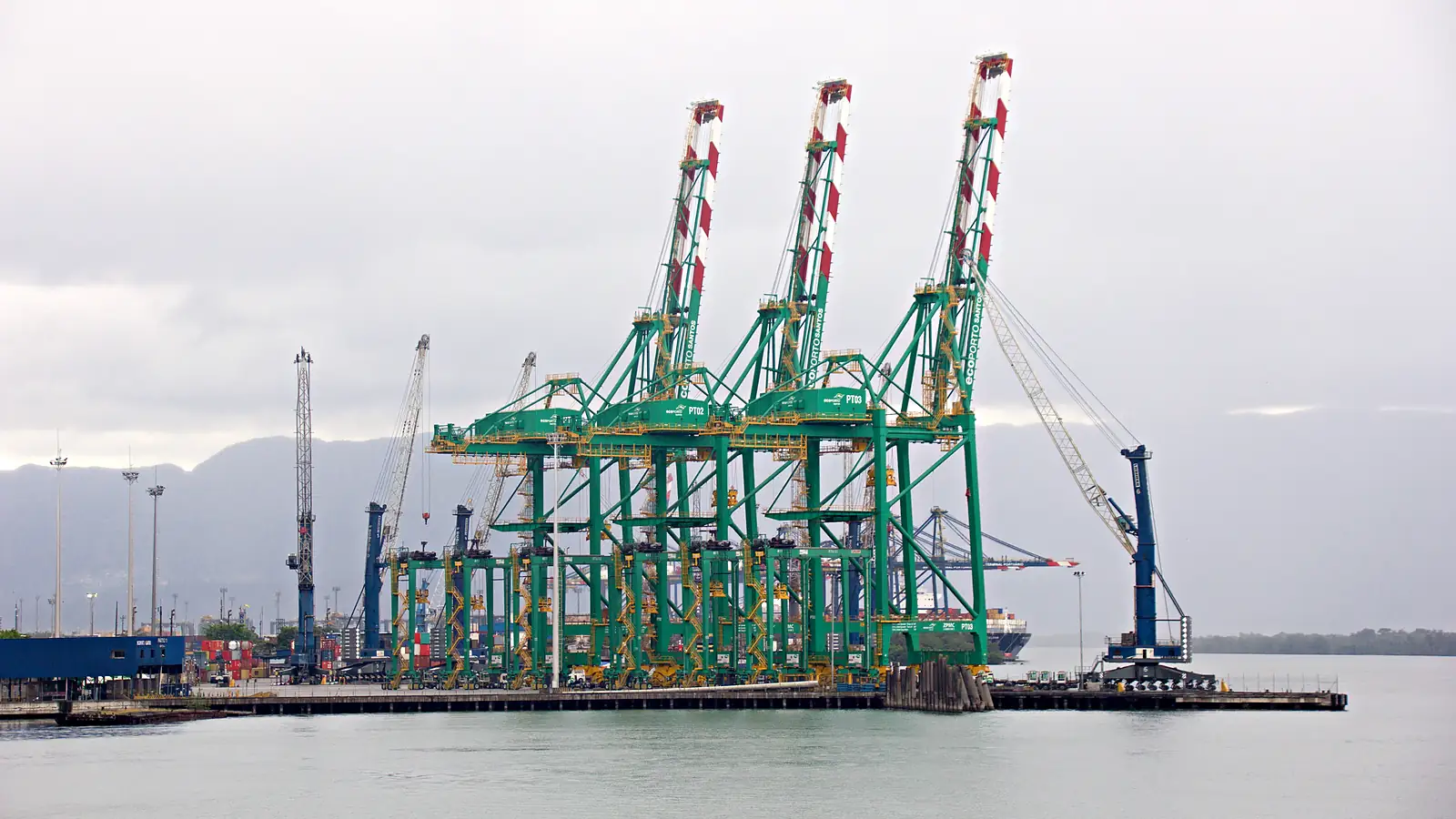 Três portêineres verdes do terminal Ecoporto, no Porto de Santos, no cais à beira do canal, com guindastes azuis ao lado, contêineres ao fundo e morro sob céu nublado.