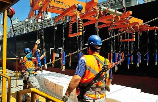 Trabalhadores portuários operando com cintas e equipamento de içamento no costado de um navio durante o carregamento de carga